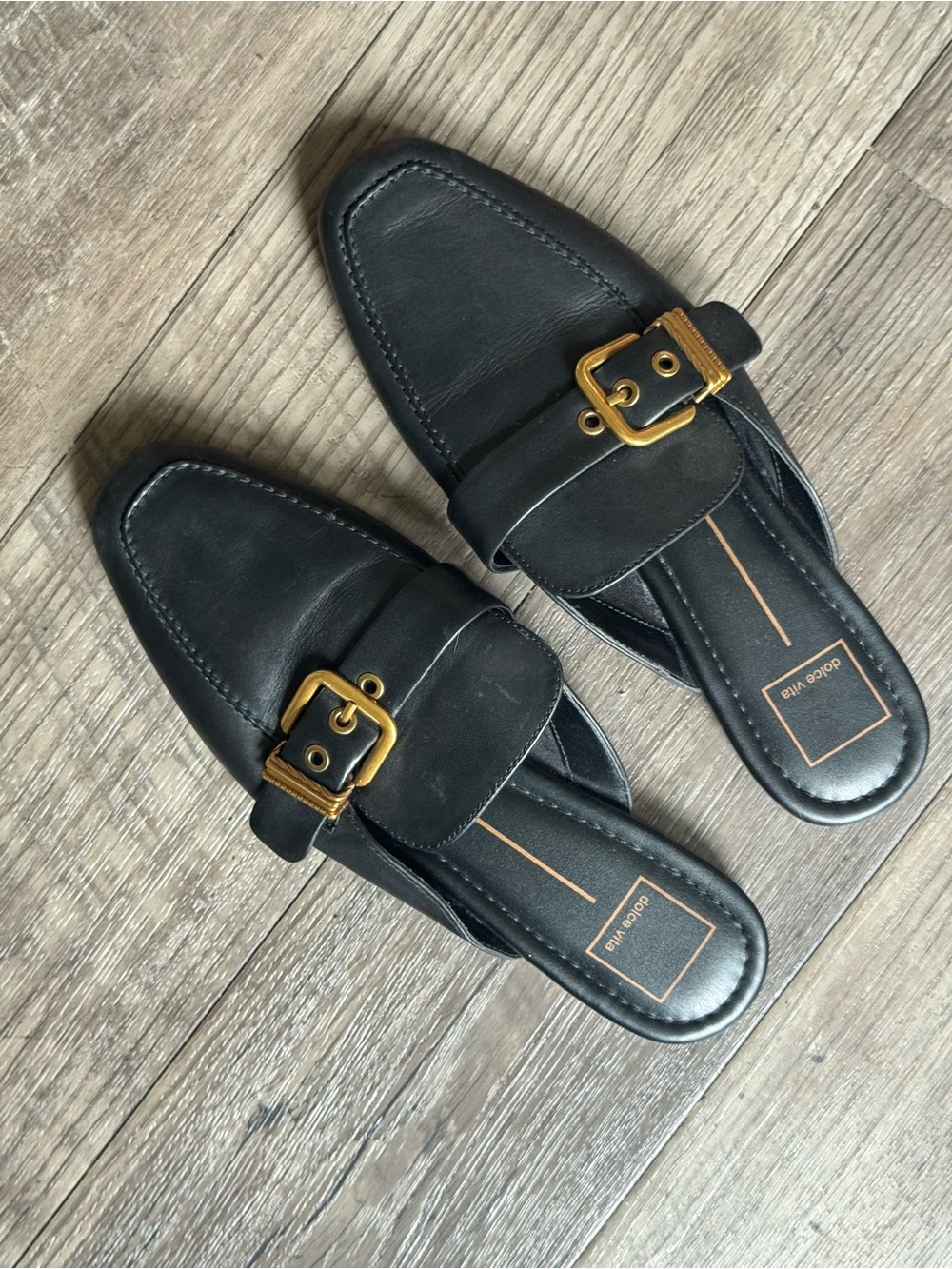 Dolce Vita Black Slide Mules with Gold Buckle Accent